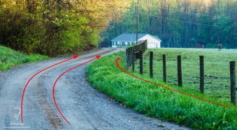 Photo Composition Tips