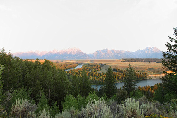 6_Tetons_Foreground.JPG 6 Tetons Foreground
