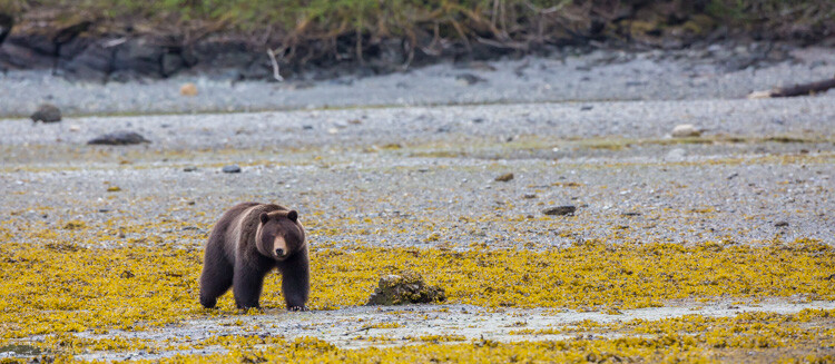 Throw Away Your Photos Carefully - 5 Things to Consider Before You Hit Delete