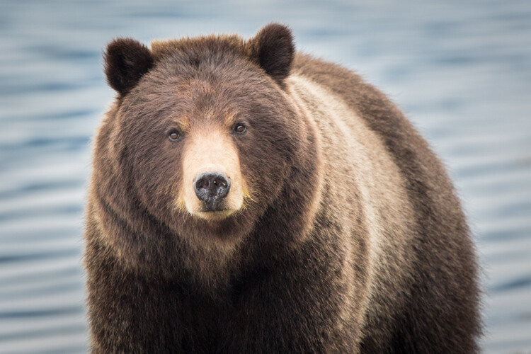 Cull Your Photos Carefully - 5 Steps to Follow Before You Hit Delete