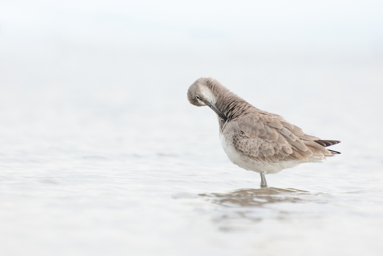 create-more-artistic-photos-fast