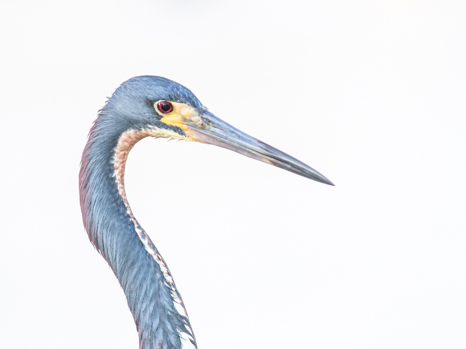 create-more-artistic-photos-fast