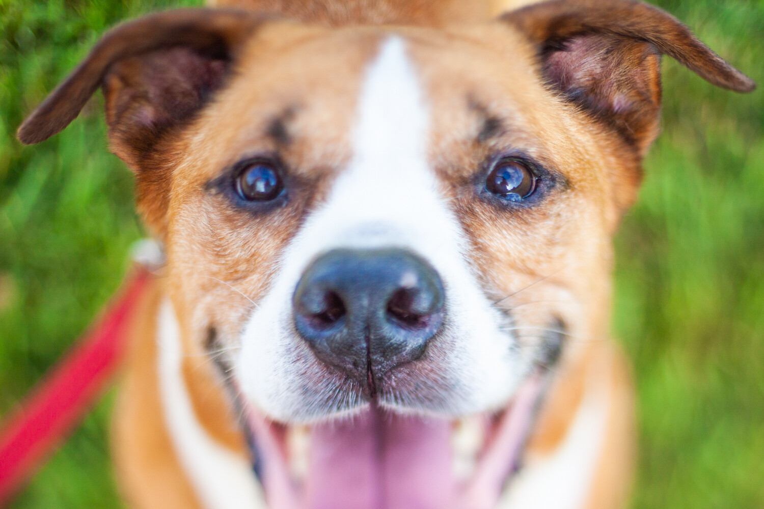 Image: 50mm, 1/2000 sec, Freelensed, ISO 250