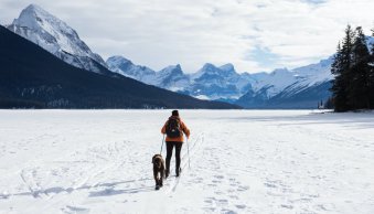 Cold-Weather Photography: How to (Safely!) Take Photos in the Cold