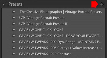 Color profiles in Lightroom