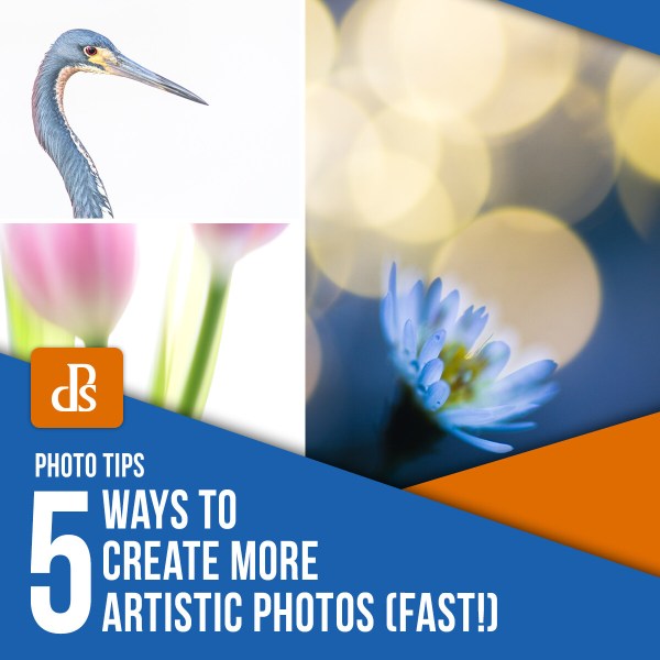 5 Ways to Create More Artistic Photos (Fast!)