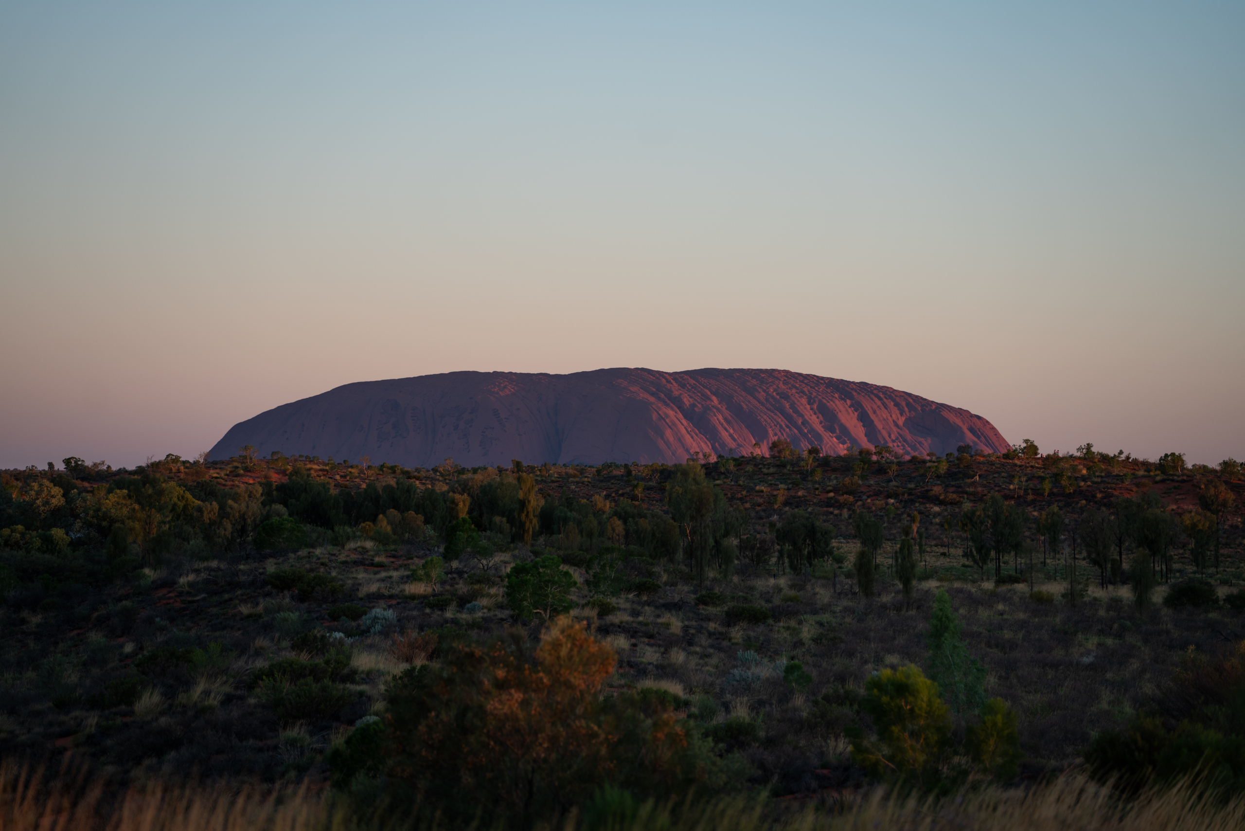 Patience and Photography