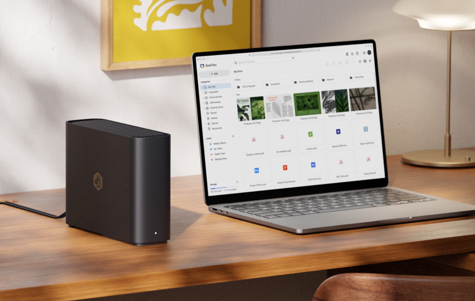 What Photographers Can Do with the Synology 8TB BeeStation Plus