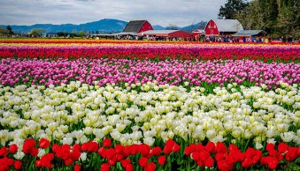 4 Tips for Creative HDR Styling with Aurora HDR 2018