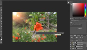 Generative Fill in Photoshop: The Essential Guide