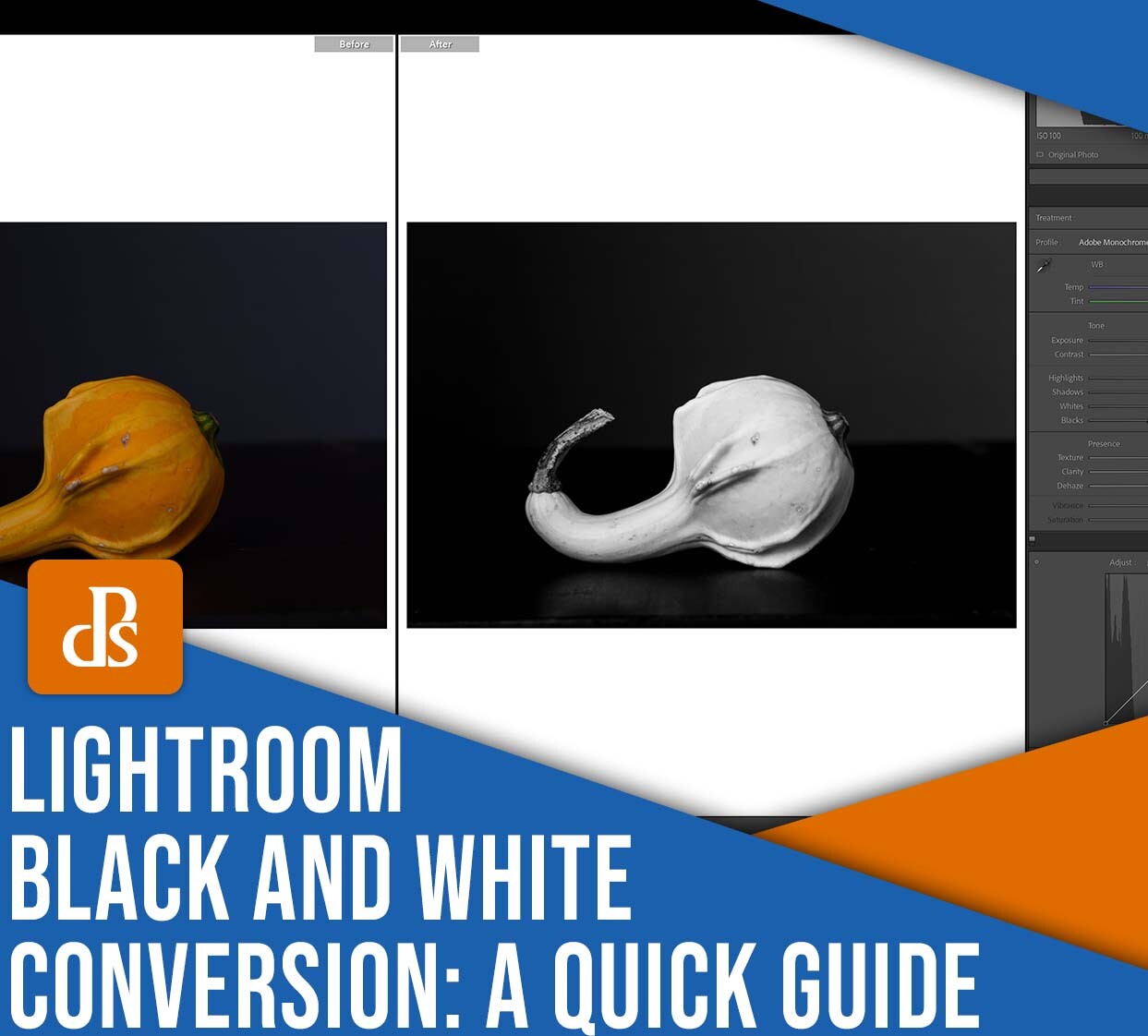Lightroom black and white conversion: a quick guide