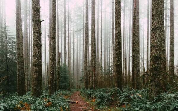 Photographing Babies – Zoom in