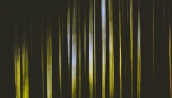 8 Tips for Beautiful Impressionist Photography