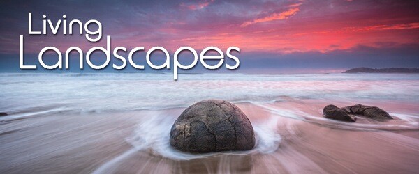 Landscapes_600x250px.jpg