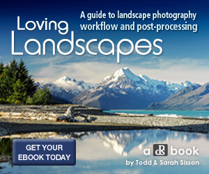 lovinglandscapes_300x250