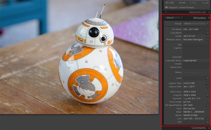 Metadata 2 - The dPS Absolute Beginner’s Guide to Photography