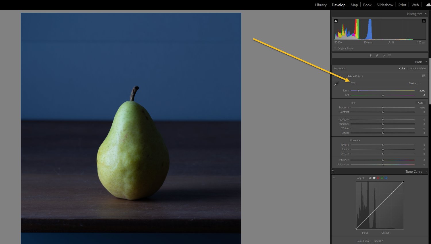 adjusting the white balance in Lightroom