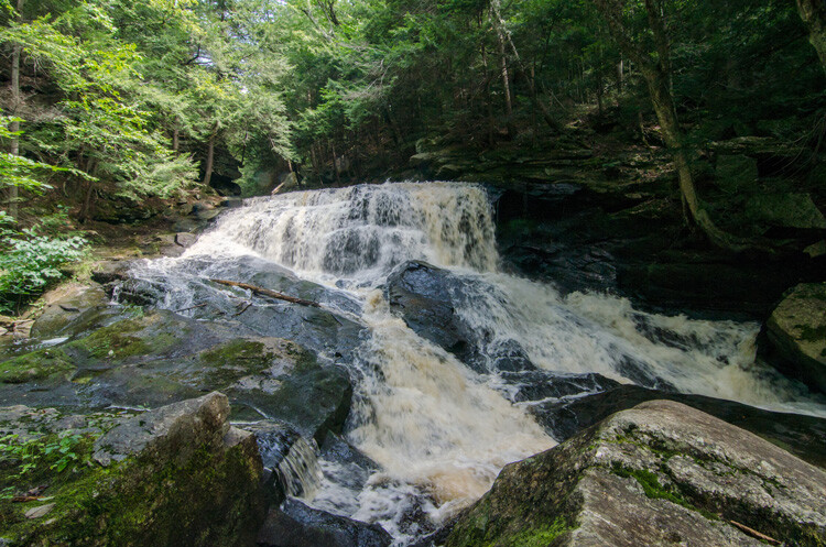 Image: Shutter speed 1/50th of a second.