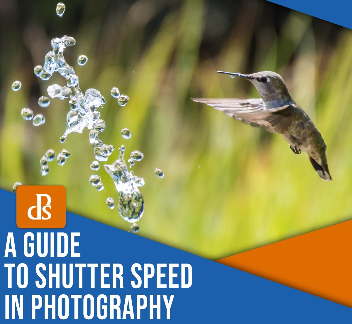 a guide to shutter speed in photography