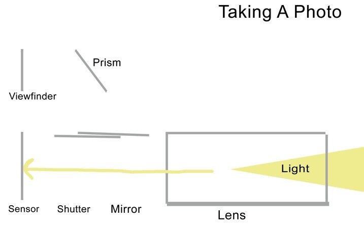 Taking photo - The dPS Absolute Beginner’s Guide to Photography