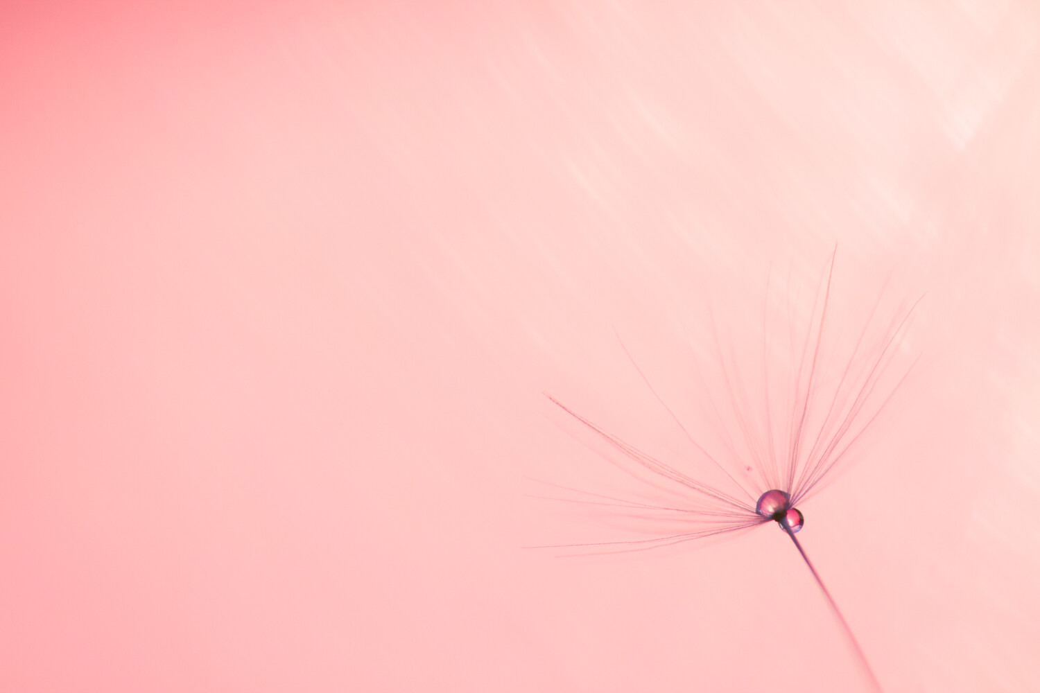 tips for beginner photographers