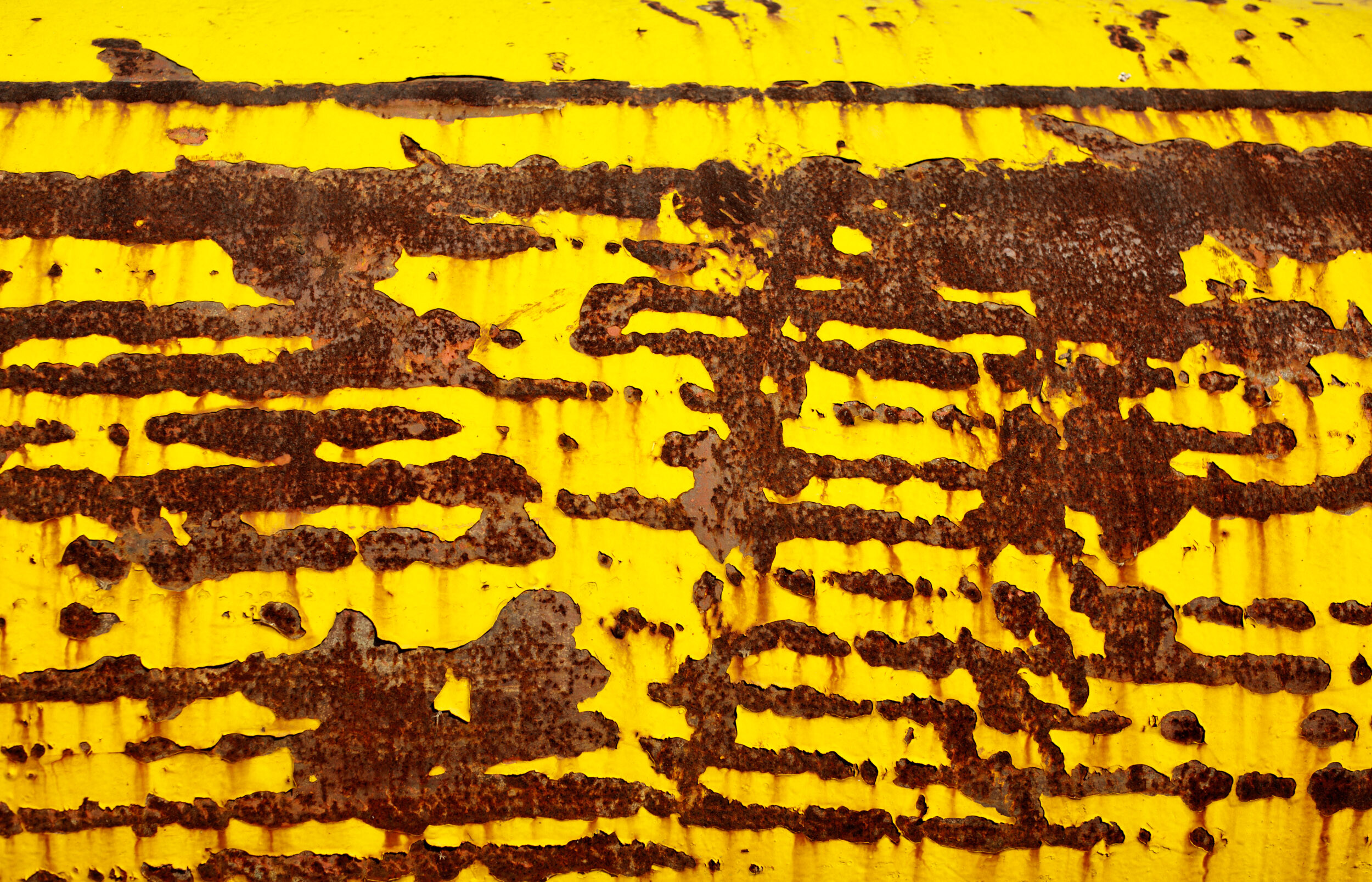 textured yellow and rust front light photography