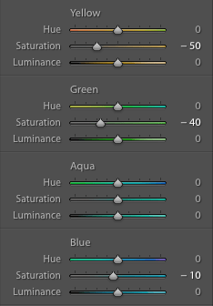 The adjustments made to the HSL sliders for a hockey image